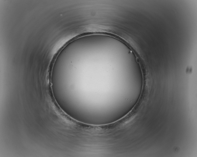 X0000111230885200907091333