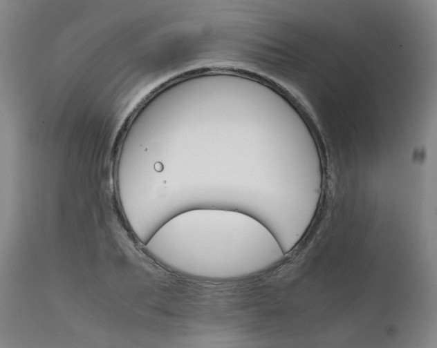 X0000111230887200907091333