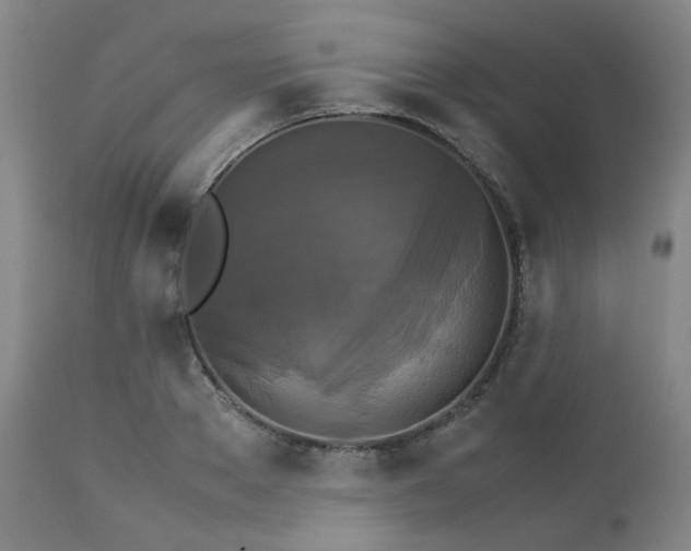 X0000111230889200907091333
