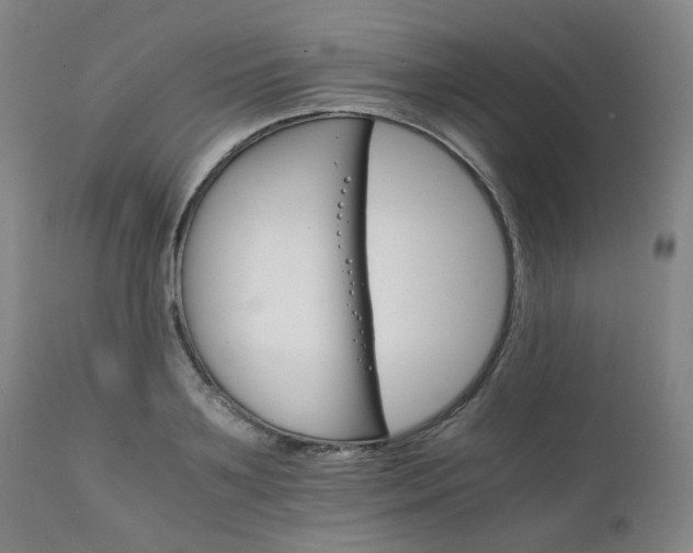 X0000111230891200907091333