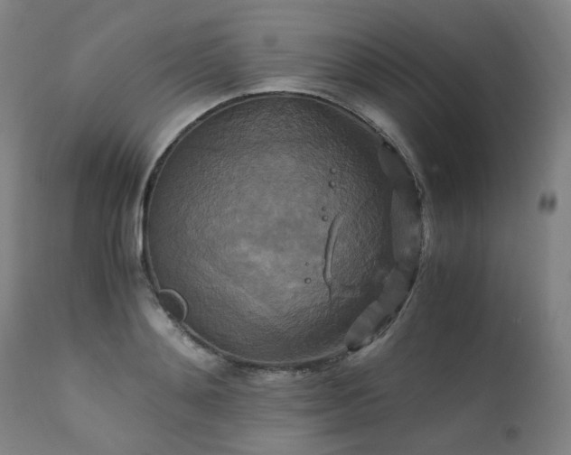 X0000111230892200907091333