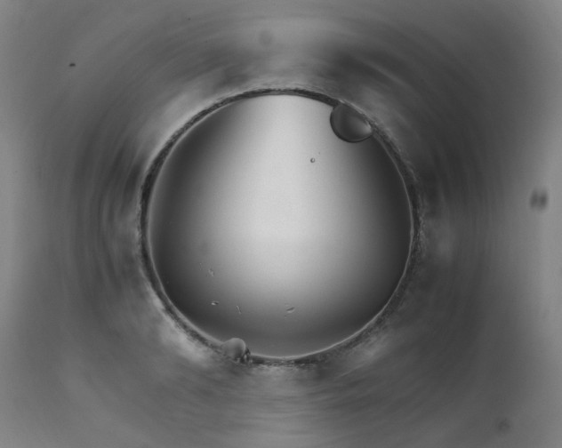 X0000111230894200907091333