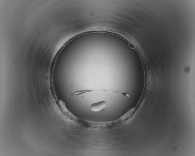 X0000111230896200907091333