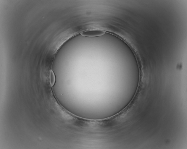 X0000111230897200907091333