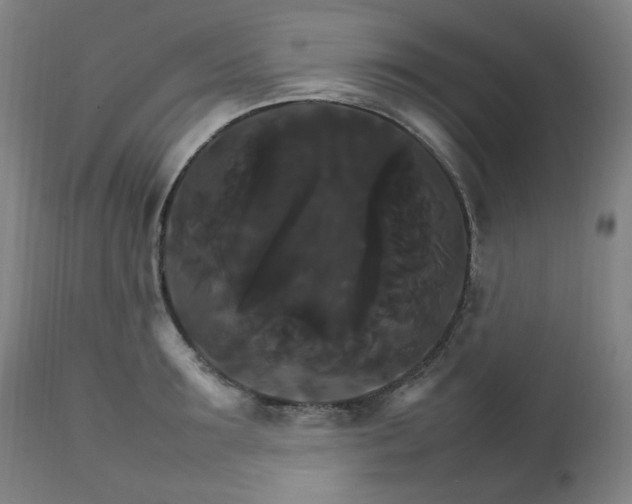 X0000111230899200907091333
