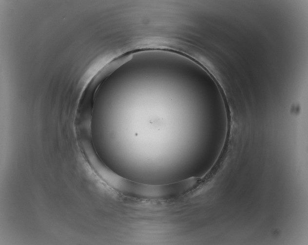 X0000111230901200907091333