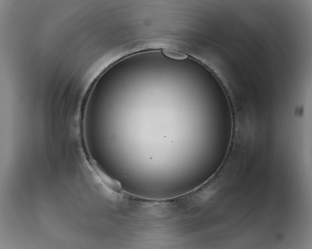 X0000111230902200907091333