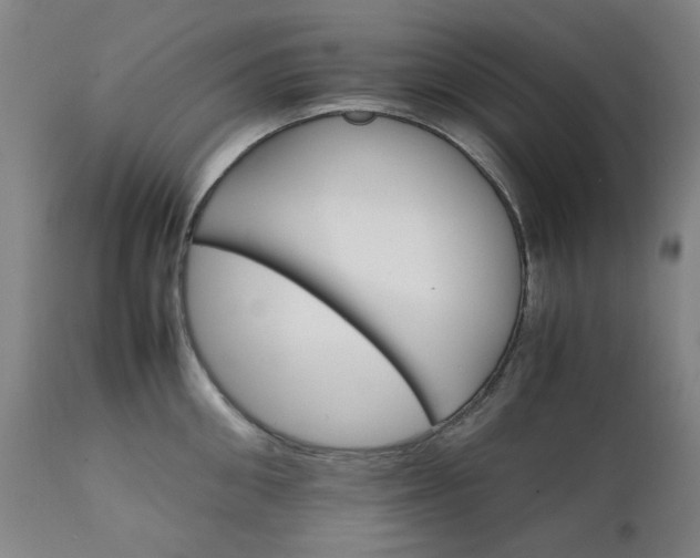 X0000111230906200907091333