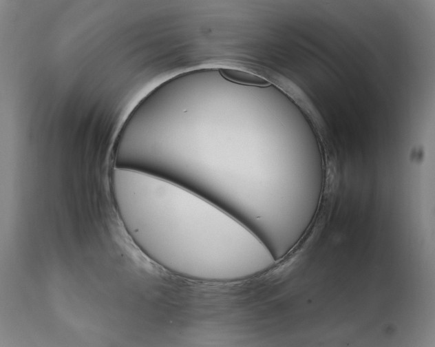 X0000111230908200907091333