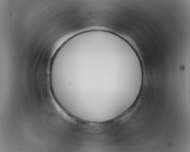 X0000111230910200907091333