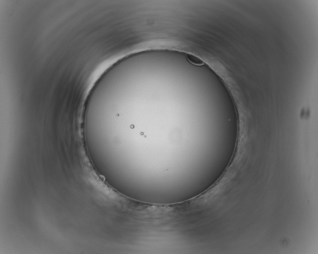X0000111230912200907091333