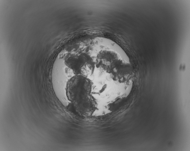 X0000111230913200907091332