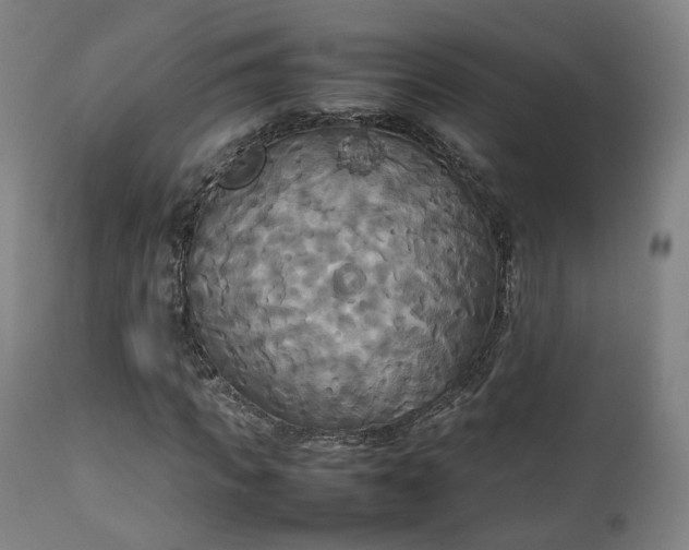 X0000111230917200907091332