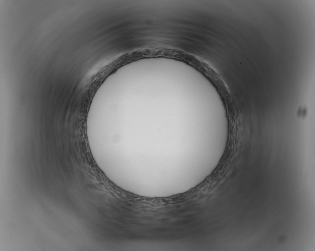 X0000111230919200907091332
