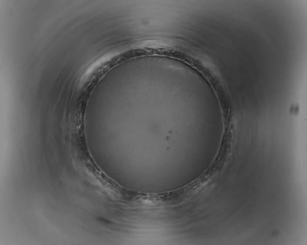 X0000111230920200907091332