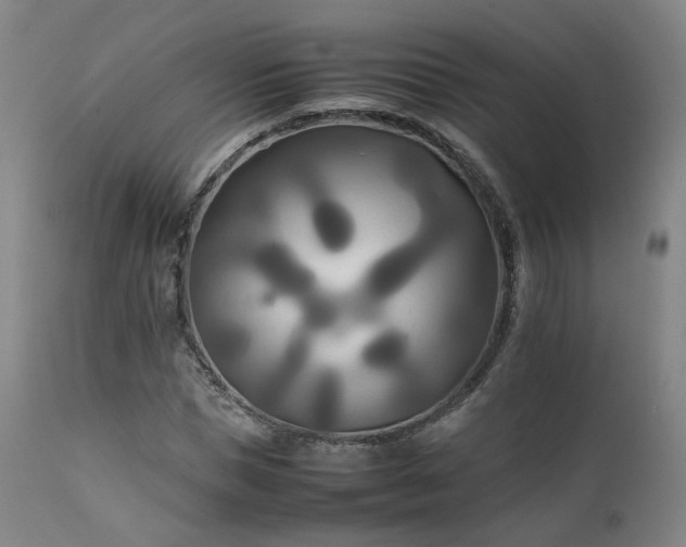 X0000111230921200907091332