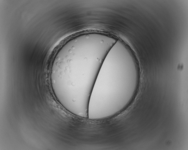 X0000111230923200907091332