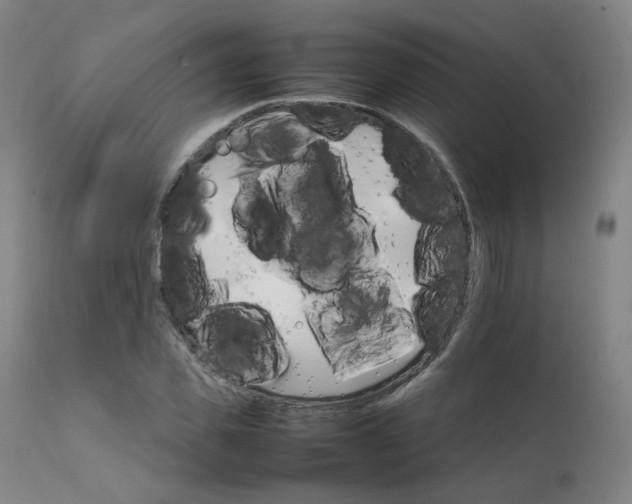 X0000111230925200907091332
