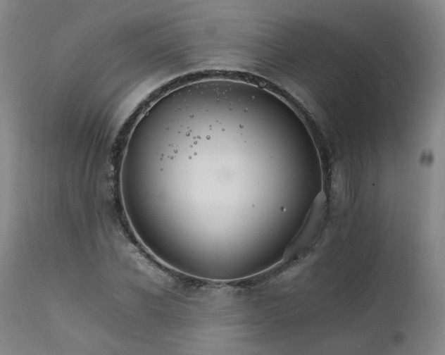 X0000111230926200907091332