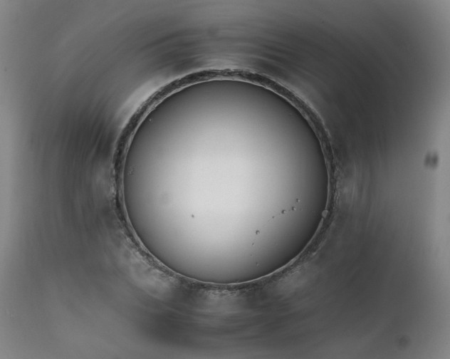 X0000111230927200907091332