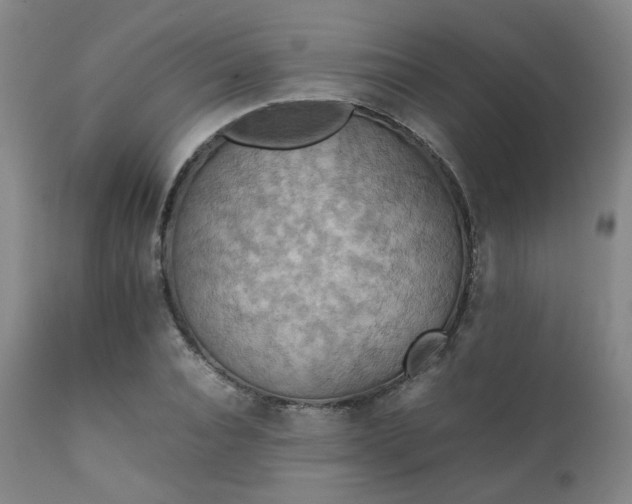 X0000111230928200907091332