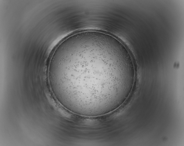 X0000111230933200907091332