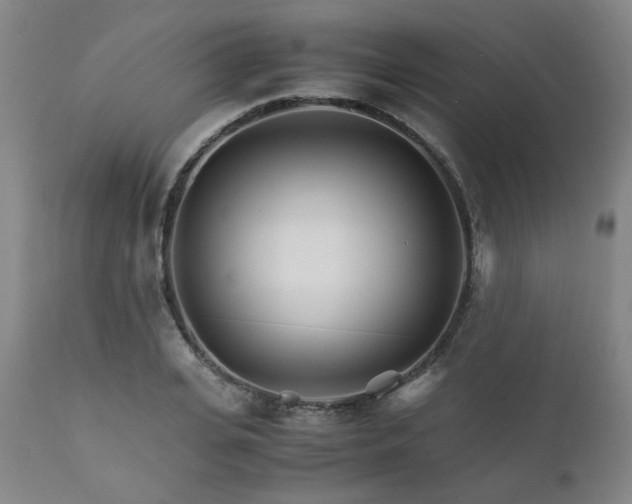 X0000111230935200907091332