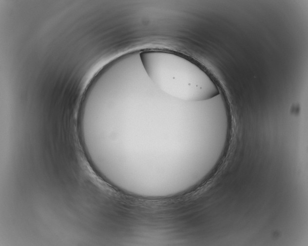X0000111230936200907091332