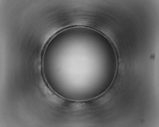 X0000111230939200907091332