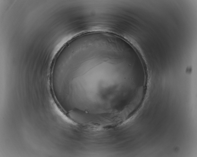 X0000111230941200907091332