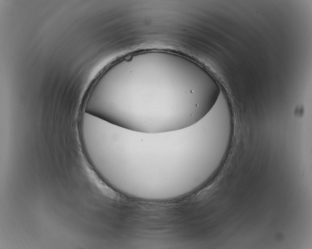 X0000111230942200907091332