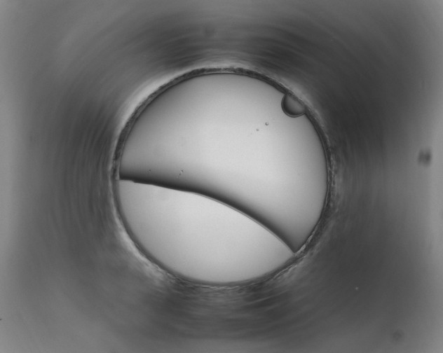 X0000111230943200907091332