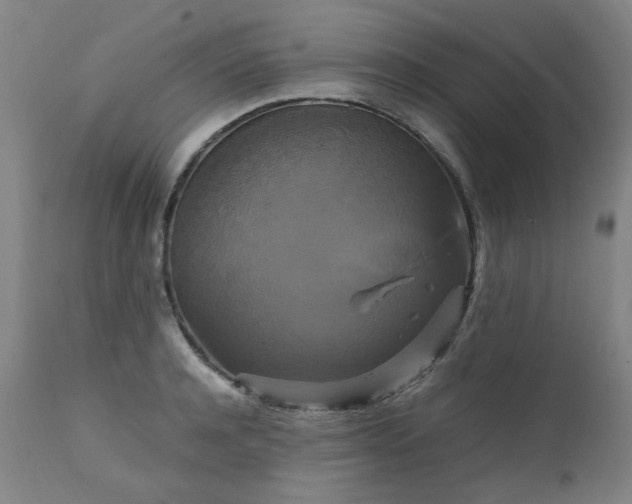 X0000111230944200907091332