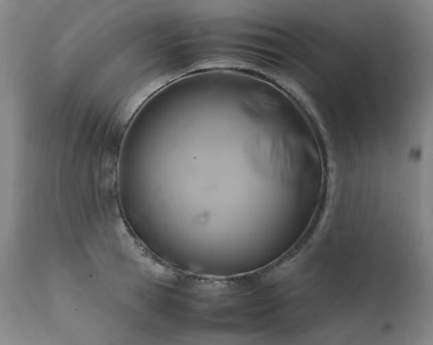 X0000111230945200907091332
