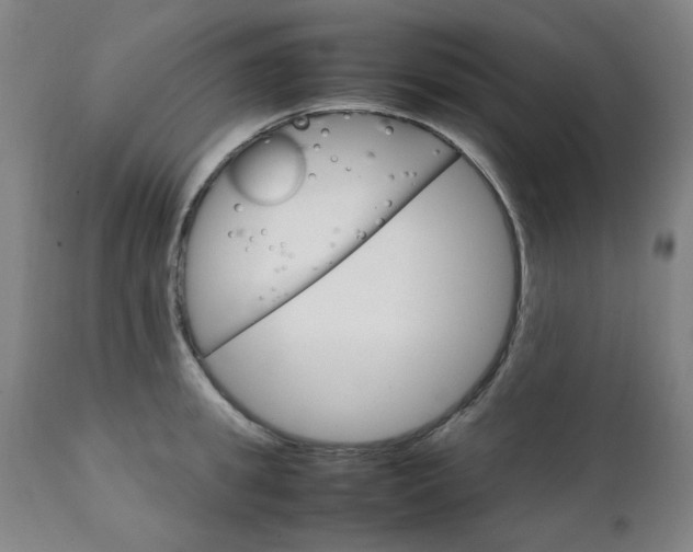 X0000111230949200907091332