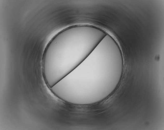 X0000111230951200907091332