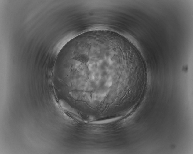 X0000111230953200907091332