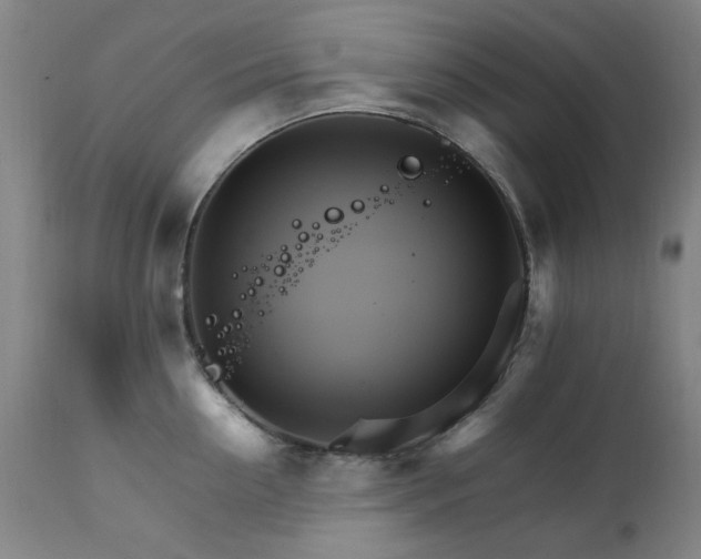X0000111230954200907091332