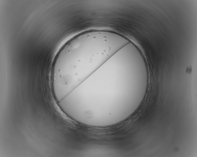 X0000111230959200907091332