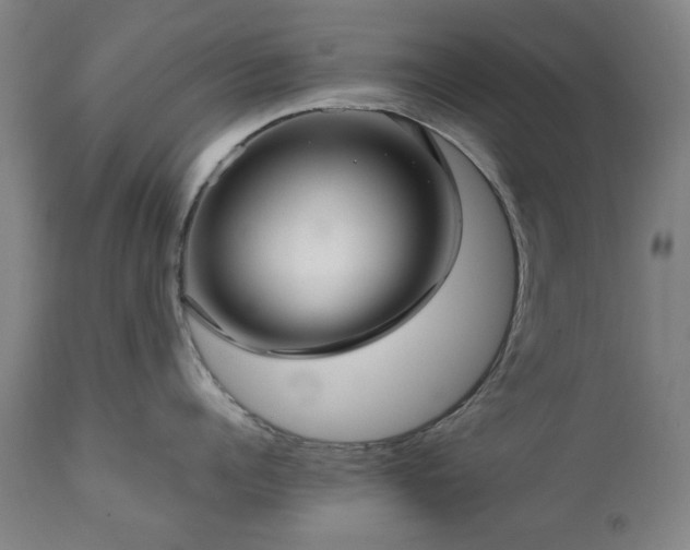 X0000111230960200907091332