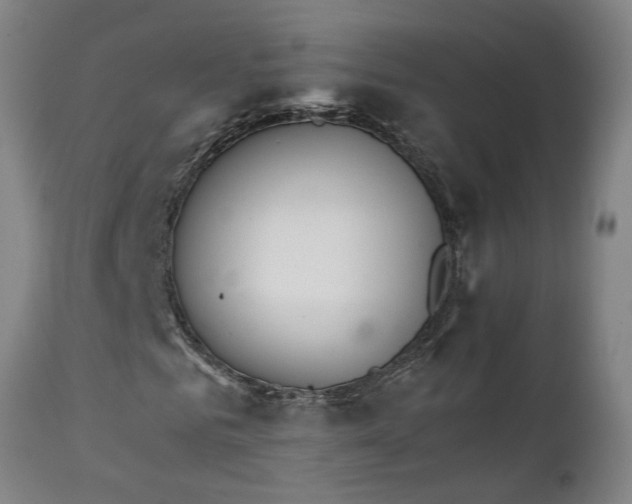 X0000111230961200907091332