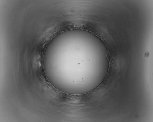 X0000111230962200907091332