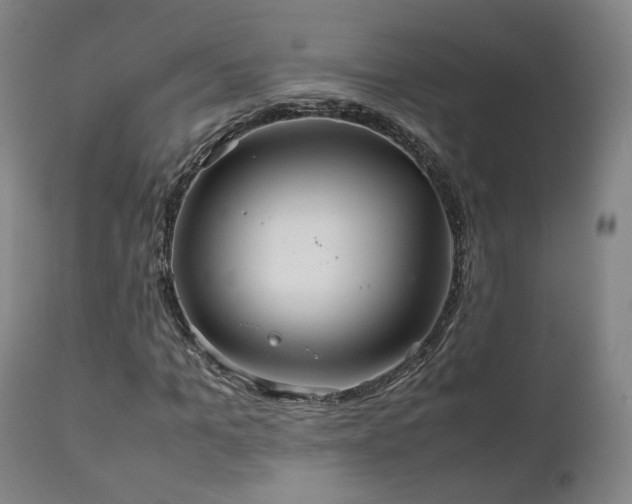 X0000111230965200907091332