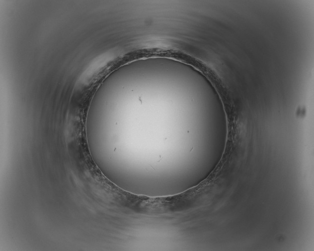 X0000111230967200907091332