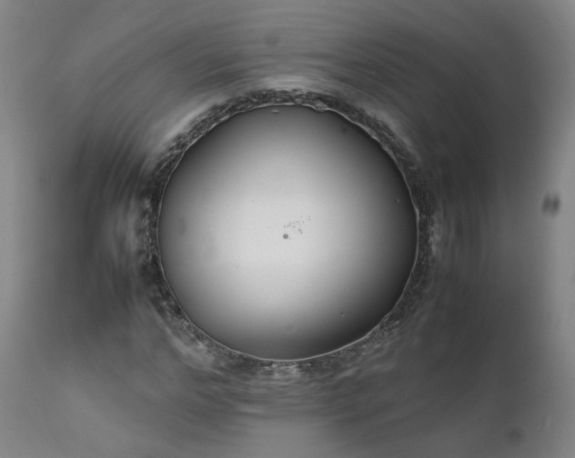 X0000111230968200907091332