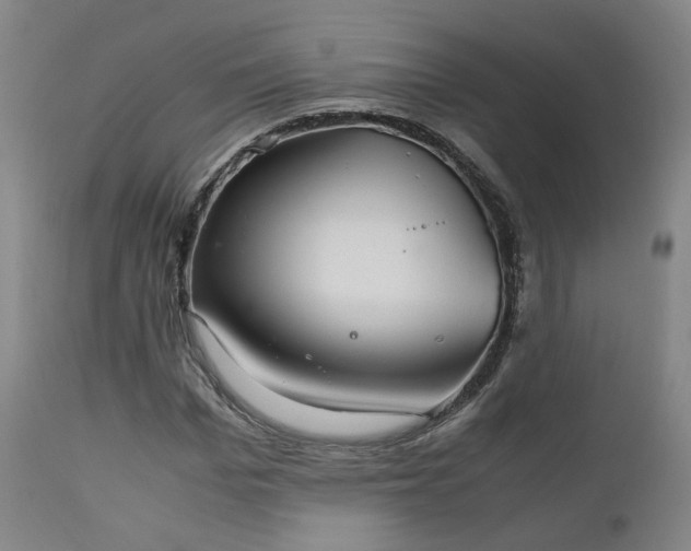 X0000111230969200907091332