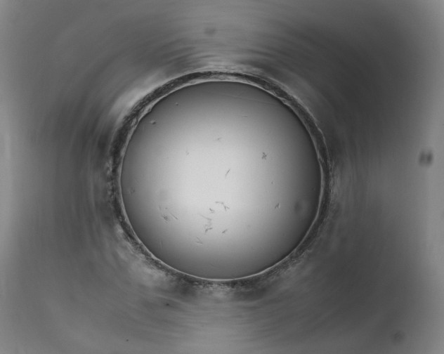 X0000111230971200907091332