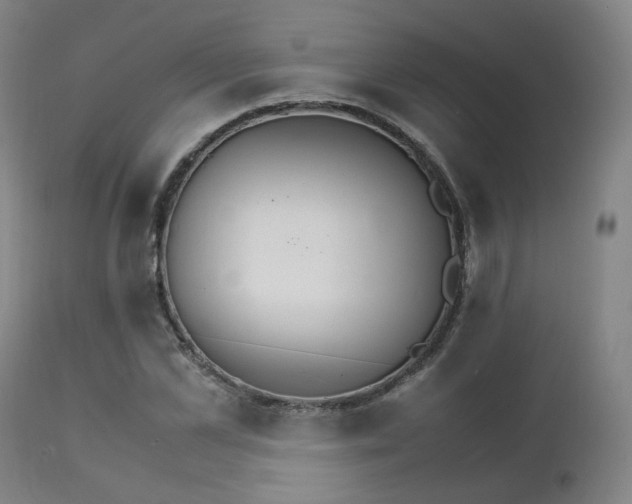 X0000111230973200907091332
