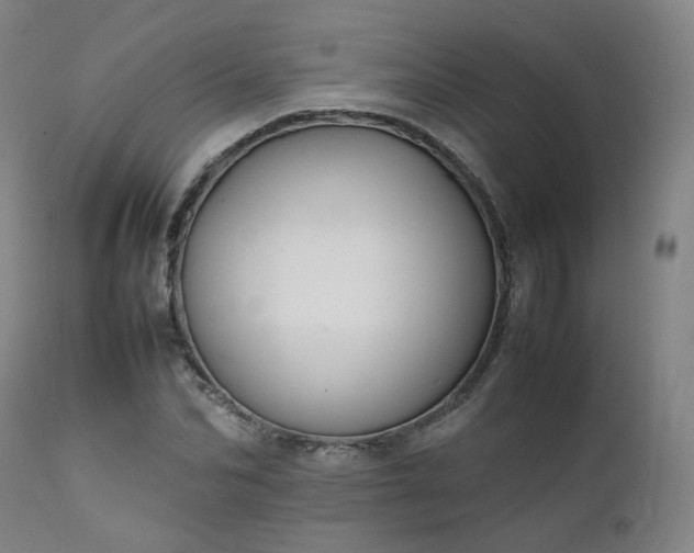 X0000111230974200907091332