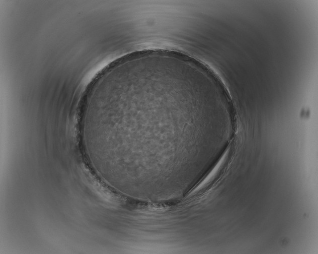 X0000111230975200907091332